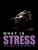 Thumbnail What Is Stress And How We Can Avoid It - PDF eBOOK DOWNLOAD Thumbnail What Is Stress And How We Can Avoid It - PDF eBOOK DOWNLOAD