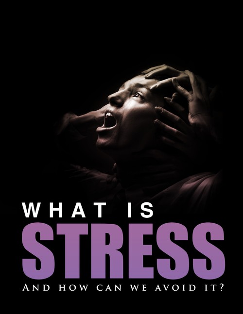 Product picture What Is Stress And How We Can Avoid It - PDF eBOOK DOWNLOAD